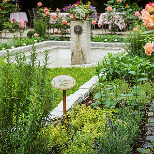 Romantischer Rosengarten mit Kräutern