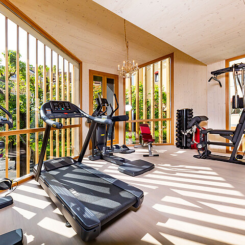 Fitnessraum mit TechnoGym Geräten